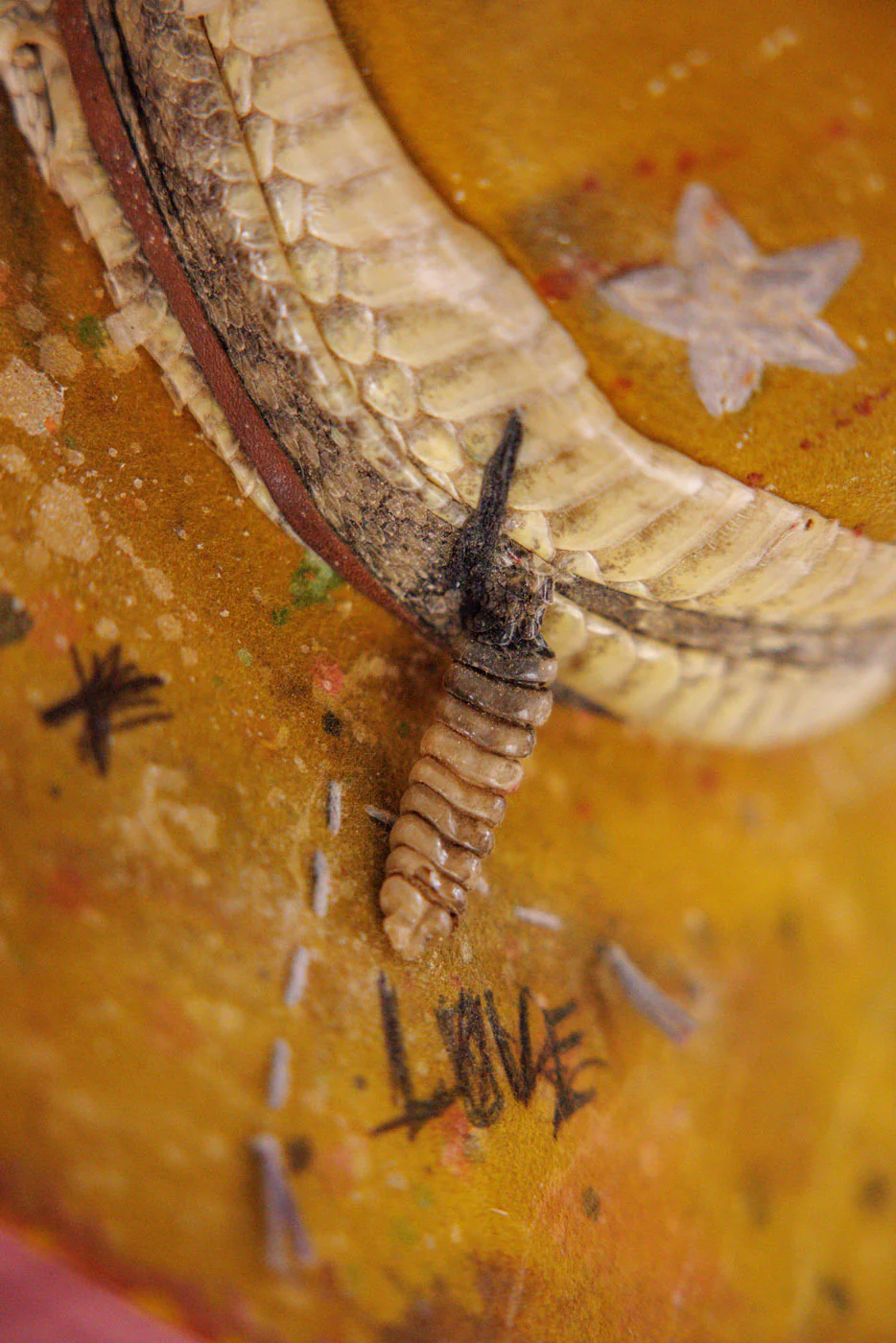 Artist Open Crown Hat - Image 7